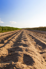 Image showing Rural road in the field