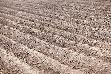 Image showing plowed field, furrows