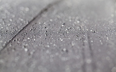 Image showing raindrops on the umbrella