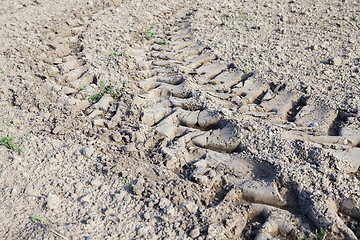 Image showing Wheel tracks on the field