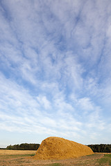 Image showing stack of straw in the field