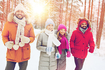 Image showing group of smiling men and women in winter forest