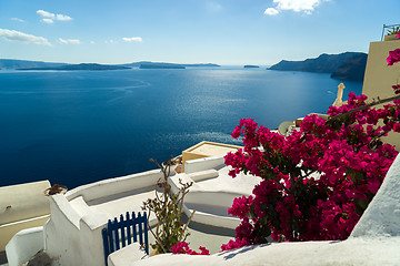 Image showing Oia Santorini island Cyclades 