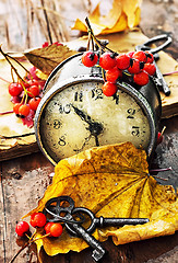 Image showing Alarm clock and fallen leaves