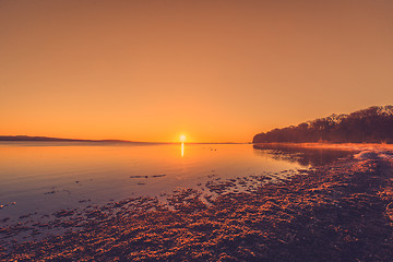 Image showing Beach with seaweed