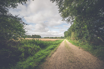 Image showing Countryside landscape with a dirt trail