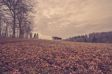 Image showing Feeding stand at a forest