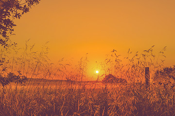 Image showing Sunrise in a countryside mist