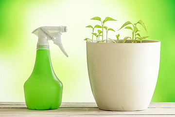 Image showing Green plants with a spray can