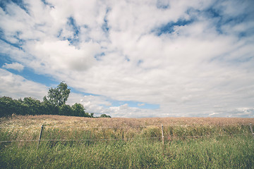 Image showing Fence on a meadow