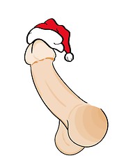 Image showing human penis with red santa\'s cap