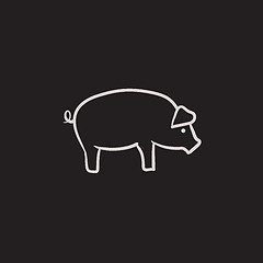 Image showing Pig sketch icon.