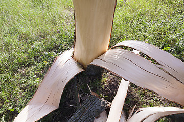 Image showing weathered wood broken