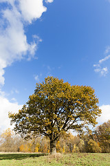 Image showing Nature in autumn season