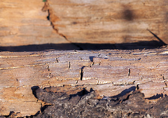 Image showing Old cracked wood