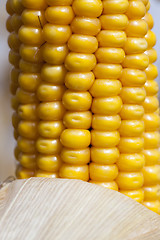 Image showing mature corn crop