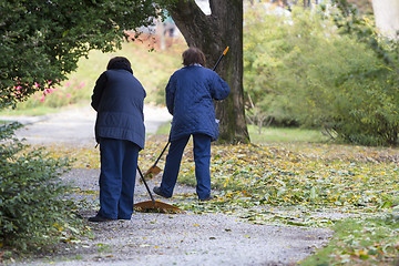 Image showing Women Gardener raking fall leaves in city park