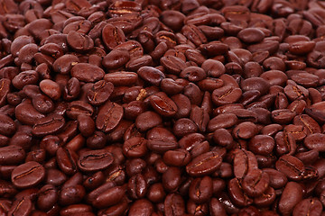 Image showing Coffee Bean Background