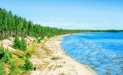 Image showing Sandy Shore of Lake Onega