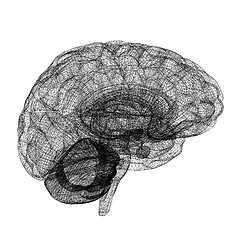 Image showing Creative concept of the human brain