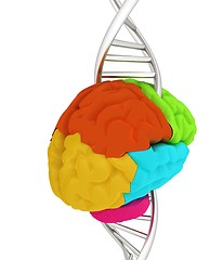 Image showing Brain and dna. 3d illustration