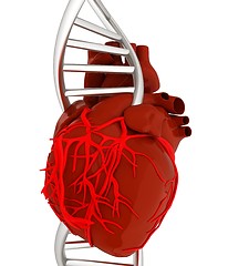 Image showing DNA and heart. 3d illustration