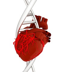 Image showing DNA and heart. 3d illustration