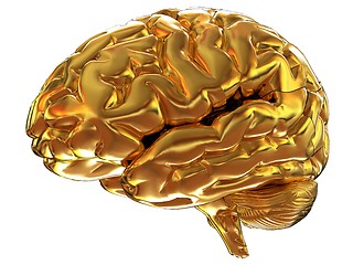 Image showing Gold brain. 3d render