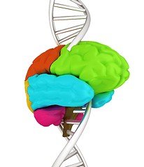 Image showing Brain and dna. 3d illustration