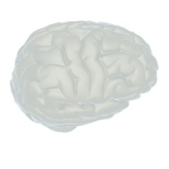 Image showing 3D illustration of human brain