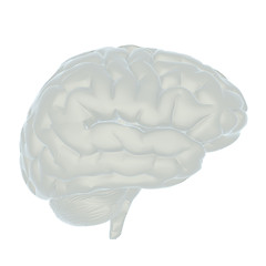 Image showing 3D illustration of human brain