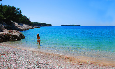 Image showing Dalmatian beach, Primosten.