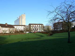 Image showing Towers and Tree