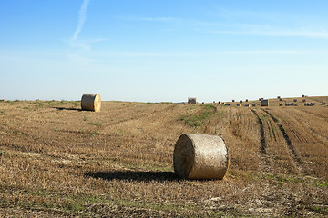 Image showing stack of wheat straw