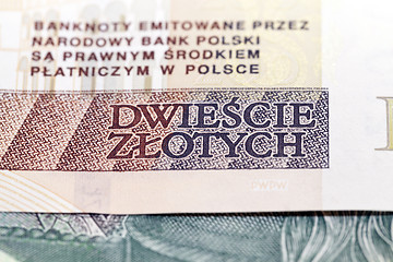 Image showing Polish Zloty closeup