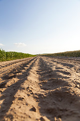 Image showing Rural road in the field