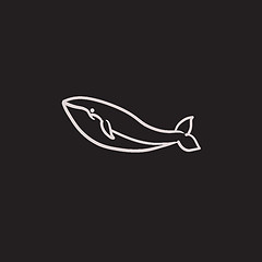 Image showing Whale sketch icon.
