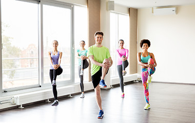 Image showing group of smiling people exercising in gym