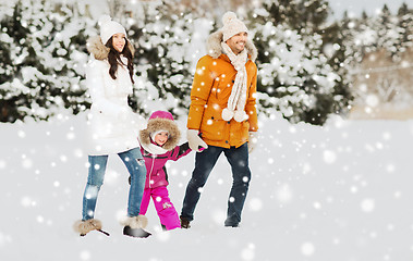 Image showing happy family in winter clothes walking outdoors