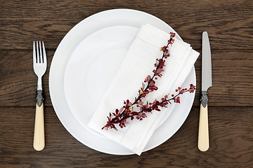 Image showing Dinner Place Setting