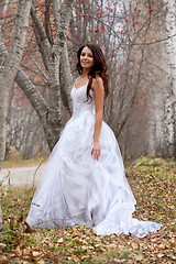 Image showing Young Bride In A Forest
