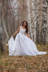 Image showing Young Bride In A Forest