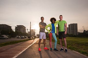 Image showing portrait multiethnic group of people on the jogging