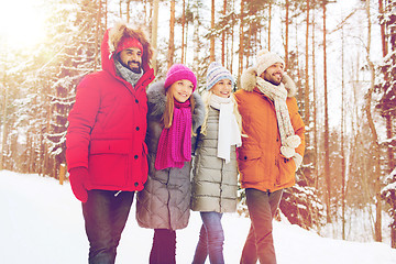 Image showing group of smiling men and women in winter forest