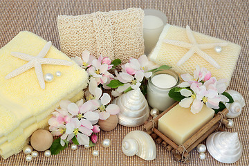 Image showing Fresh Spa Beauty Treatment