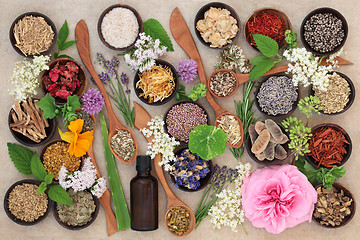 Image showing Flower and Herb Selection
