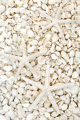 Image showing Starfish and Seashell Background