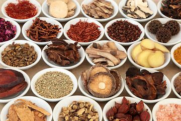 Image showing Chinese Herbal Medicine 