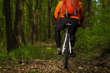 Image showing Cyclist Riding the Bike on a Trail in Summer Forest