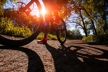 Image showing Young woman having fun riding a bicycle in the park.